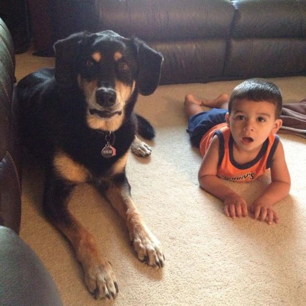 Meet your Posher, Julie